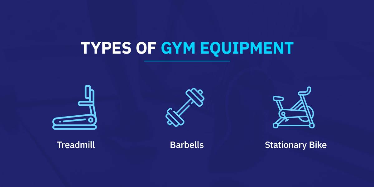 The Ultimate Gym Equipment Guide Gym Equipment Explained